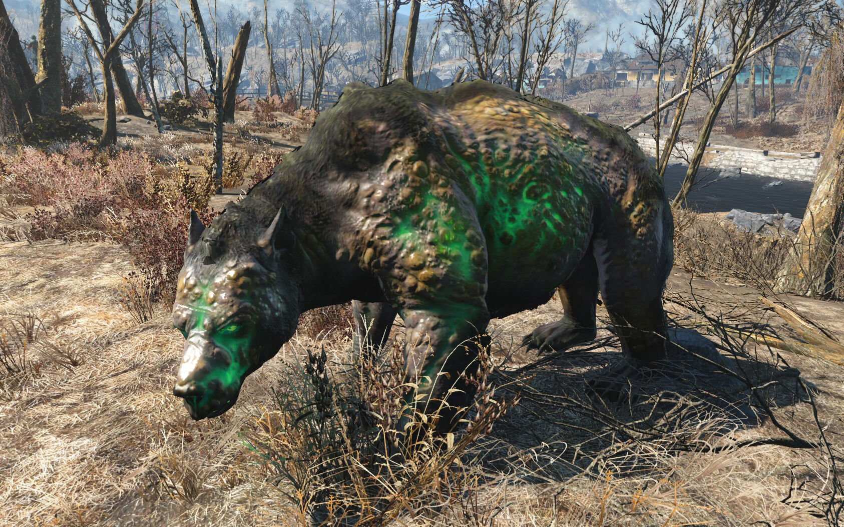 Yao guai (Fallout 4) | Fallout Wiki | Fandom