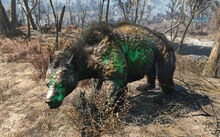 Fo4 glowing yao guai.jpg (1,32 MB)