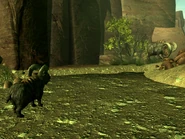 Mama und Kalb wiedervereint