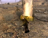 Мёртвый последователь Брайта