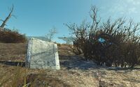 FO4NW External 98