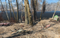 Hadrian body near a trashcan, east of Sanctuary Hills