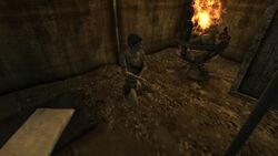 Slave (Fallout: New Vegas), Fallout Wiki