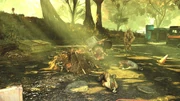 Deathclaw Vs Merchant Caravan
