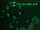 FO3 TLAbandonedHouse loc.jpg