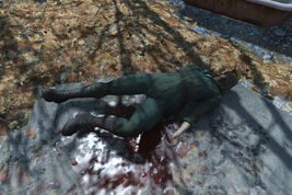 Fo4AUT Shades
