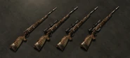 A collection of all of the hunting rifle variants