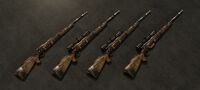 A collection of all of the hunting rifle variants