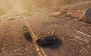 RE Lone Traveler.jpg