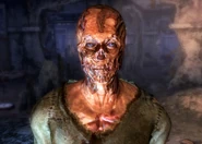 Живий Сандерс з допомогою консольних команд