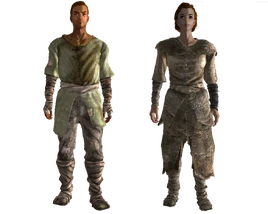 Wasteland settler outfit