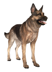 FO4HRTP Dogmeat.png