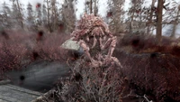 FO76 Cranberry Glade Ext 3.jpg (2.34 MB) Scorched mirelurk queen