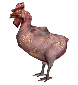 Fo4FH radchicken