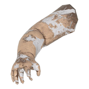 Doll right arm