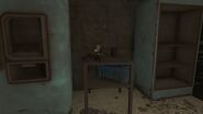 FO4 Energy weapons bobblehead Fort Hagen