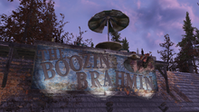 The Boozin Brahmin