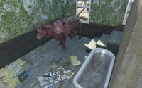 FO4 Lovely lady