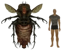 Legendary bloatfly size compared to a human