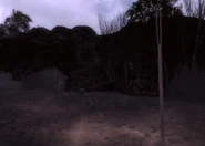 The needle stitching