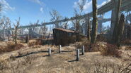 FO4 Small Trading Shack cat graves