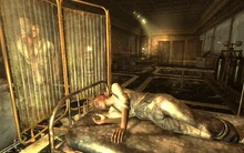 Спящая Рейли