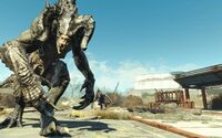 FO4NW Exterior 67