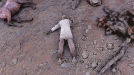 FO76WA Frank skeleton