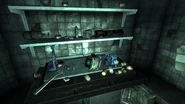 Fo3PL Lighthouse weapon stash.jpg (678 kB) Alijo de armas