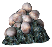 A pile of mirelurk eggs