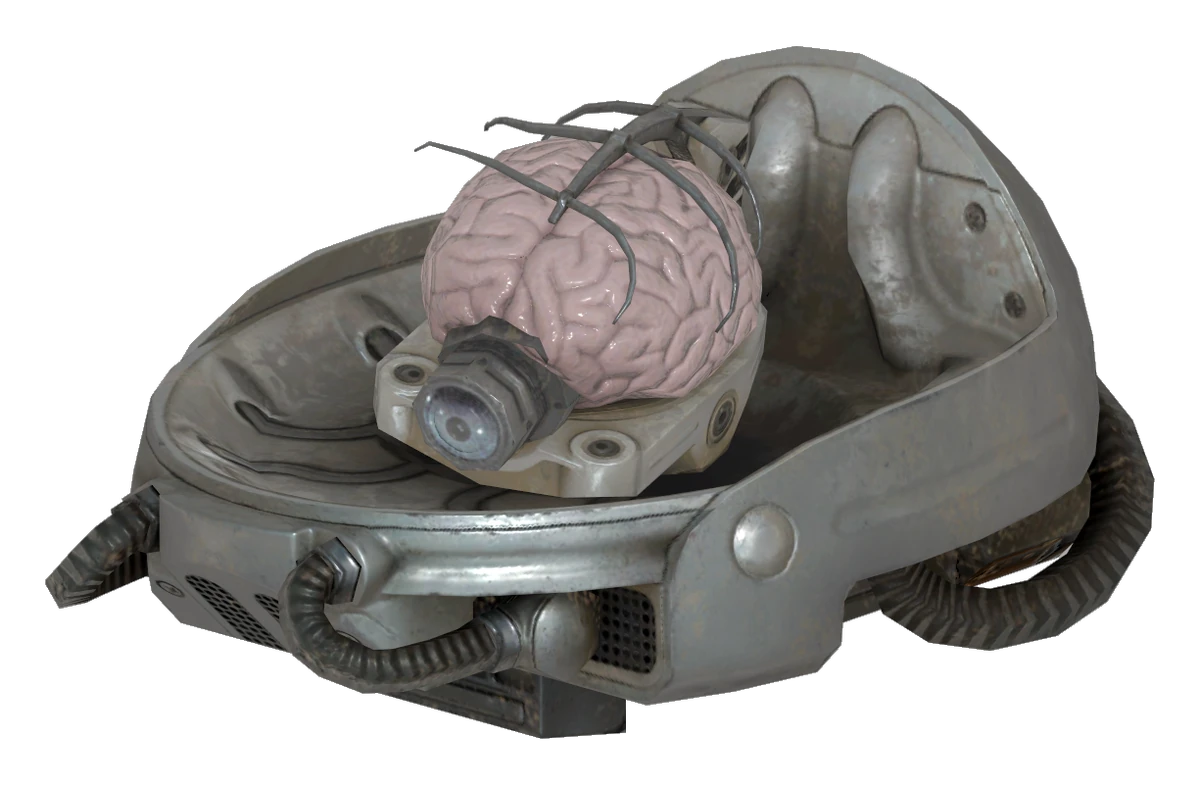 Detached head. Detached head