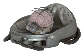 Robobrain interpolator