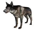 Dog FO3.png
