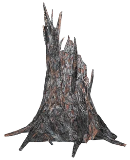 FO76 Stump 2