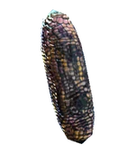 Corn