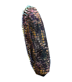 Corn.png