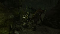 Deathclaw eggs at Dead Wind Cavern