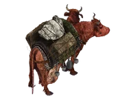 On the back of brahmin render