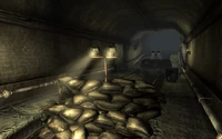 Fo3 tepid sewers Rocksalt.jpg (533 KB) Watch out for frag mines and Rocksalt!
