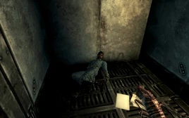 Steve Armstrongs body