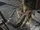 Brotherhood Corpse Appalachian Antiques 2.png