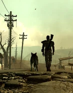 The Lone Wanderer with Dogmeat