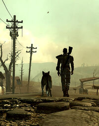 Fallout 3 - My new companion, The slightly lesbian looki…