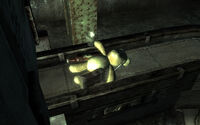 Teddy bears behaving badly at the sewer waystation