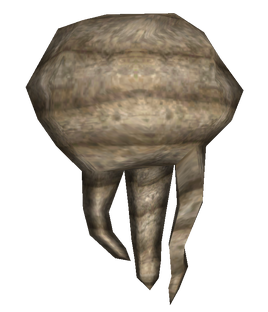 Xander root