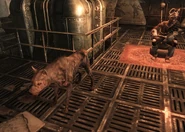 BoneGnash, Motor-Runner's guard dog