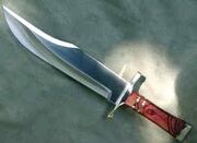 Bowie knife real