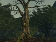 Harold2.jpg (69 kio)