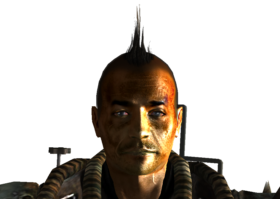 cook cook new vegas cook cook new vegas