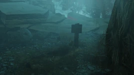 F76 Emily Blackwell's grave